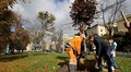 Міську акцію «Хочу посадити дерево» підтримало вже 48 мешканців