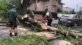  У Львові ліквідовують наслідки негоди