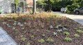 Біля нічліжки для бездомних облаштували новий громадський простір