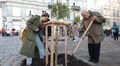  До акції «Хочу посадити дерево» вперше долучать громади Львівської МТГ: заявки приймають до четверга