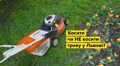 Косити чи ні: як у Львові доглядають за міськими газонами?
