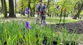 У Львові висадили вже четвертий дощовий садок: тепер така локація є у парку Івана Франка (відео)
