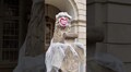 Статуї на пл Ринок одягнули у захисні маски та костюми