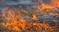 Мешканцям Львівської громади нагадують: спалювати суху траву заборонено