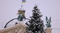 Головну ялинку розберуть цього тижня (оновлено)