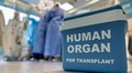Львів лідирує за кількістю трансплантацій в Україні