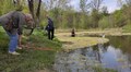 15 кубічних метрів водних рослин та намулу: у парку «Знесіння» чистять ставок