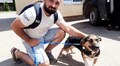 11 собак та кота з ЛКП «Лев» прилаштували за 2 тижні