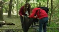 У Львові відбувається наймасштабніша екоподія цієї осені – «World Cleanup Day»