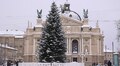 Ялинку в центрі міста залишать ще на тиждень