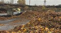 Майже 921 тонну опалого листя вже прийняли на станції компостування: мешканців закликають передавати органіку на переробку (ОНОВЛЕНО)