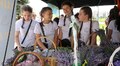 23 шкільні соціальні бізнеси презентують свої досягнення на підсумковому форумі