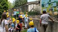 Подорожі, концерти та експерименти: у червні для львівських учнів працюватимуть Школи дозвілля