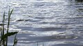 У Львові презентують «Водну Візію Львова 2100»: стратегічне бачення розвитку водної системи громади