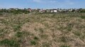 У червні на земельних аукціонах у Львівській громаді продаватимуть 14 ділянок