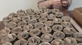 Близько 10 тисяч окопних свічок зробили і передали військовим у Центрі соціальної підтримки Львова
