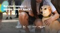 Відвідати екскурсію, познайомитись з мешканцями, знайти свого улюбленця та отримати призи: мешканців запрошують на Майстерню міста у Домівці врятованих тварин