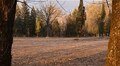 Поховання Захисників України продовжать на новому Полі почесних поховань на вул. Пасічній