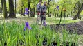 У парку Івана Франка мешканці разом з посадовцями львівської мерії висадили дощовий садок
