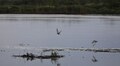 Водні асоціації з ЄС проведуть у Львові семінар про очищення стічних вод: реєстрація