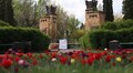 У Львові завершили ексгумацію радянських поховань на Пагорбі Слави: Кузнєцова — перепоховали (відео)