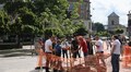 На площі Галицькій висадили нові дерева