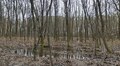У парку Архангела Михаїла встановлять систему дренажів