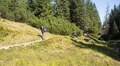 У Львові захисників кличуть на горотерапію