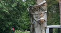 У Брюховичах демонтували радянського «Воїна»