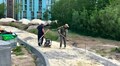 У парку Архангела Михаїла облаштовують центральну алею: роботи планують завершити до кінця літа