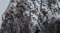 На завтра синоптики прогнозують ожеледицю на дорогах