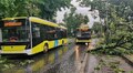 Львівські аварійні бригади оперативно ліквідовують наслідки негоди в місті