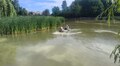 У львівських парках вапнують водойми: роботи вже провели у трьох парках