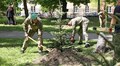 У Стрийському парку висадили 35 дерев у пам’ять про прикордонників, які віддали своє життя боротьбі за незалежність України