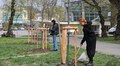 Ще можна долучитися: у Львівській громаді продовжили акцію «Подаруй місту дерево»