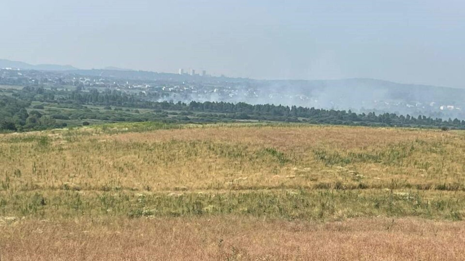 Пожежа торфовищ у Дублянах: 50 рятувальників борються з вогнем на площі 48 тисяч квадратних метрів