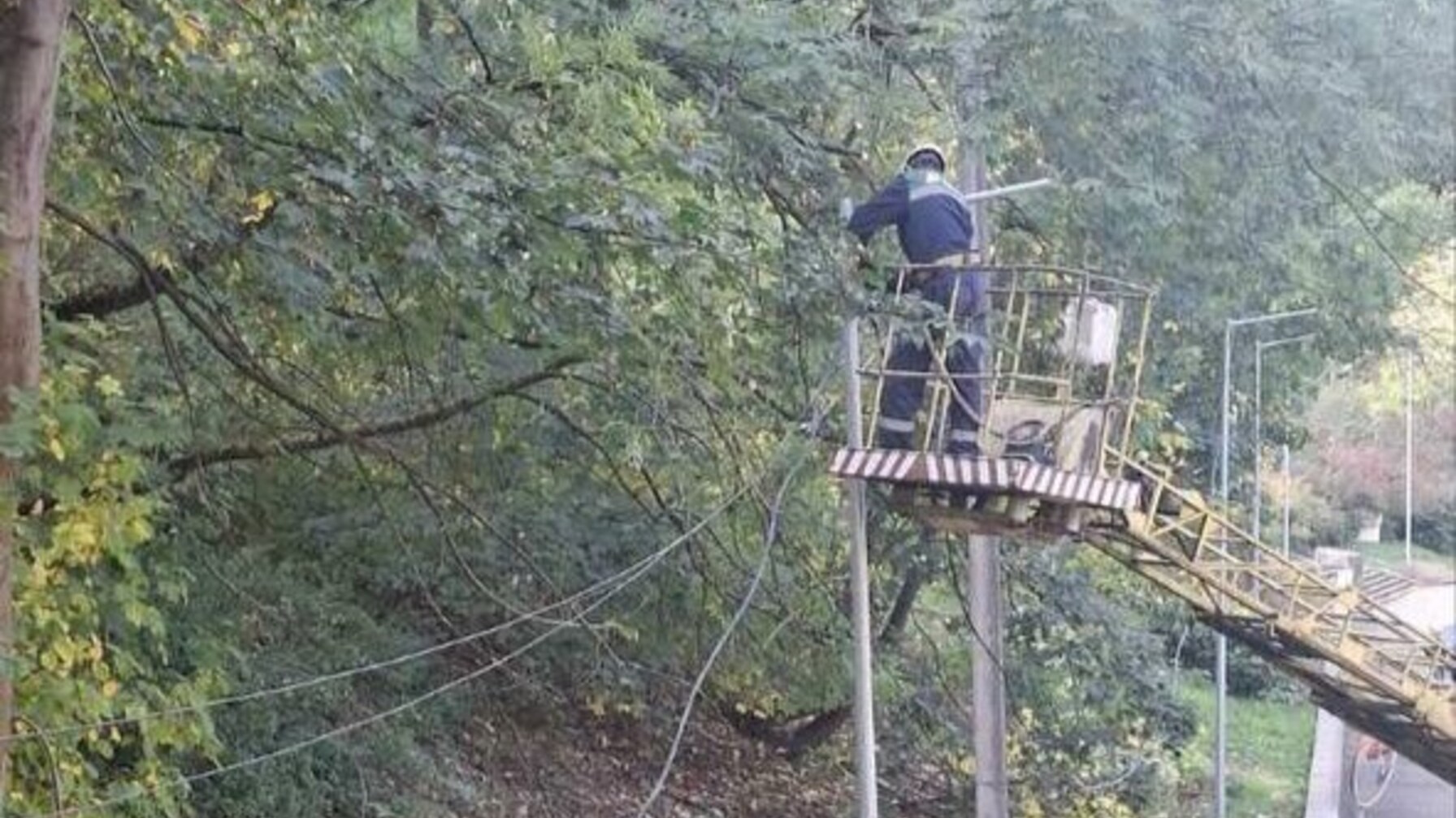 Львів переходить на LED-освітлення: вулицю Зарицьких модернізували комунальники