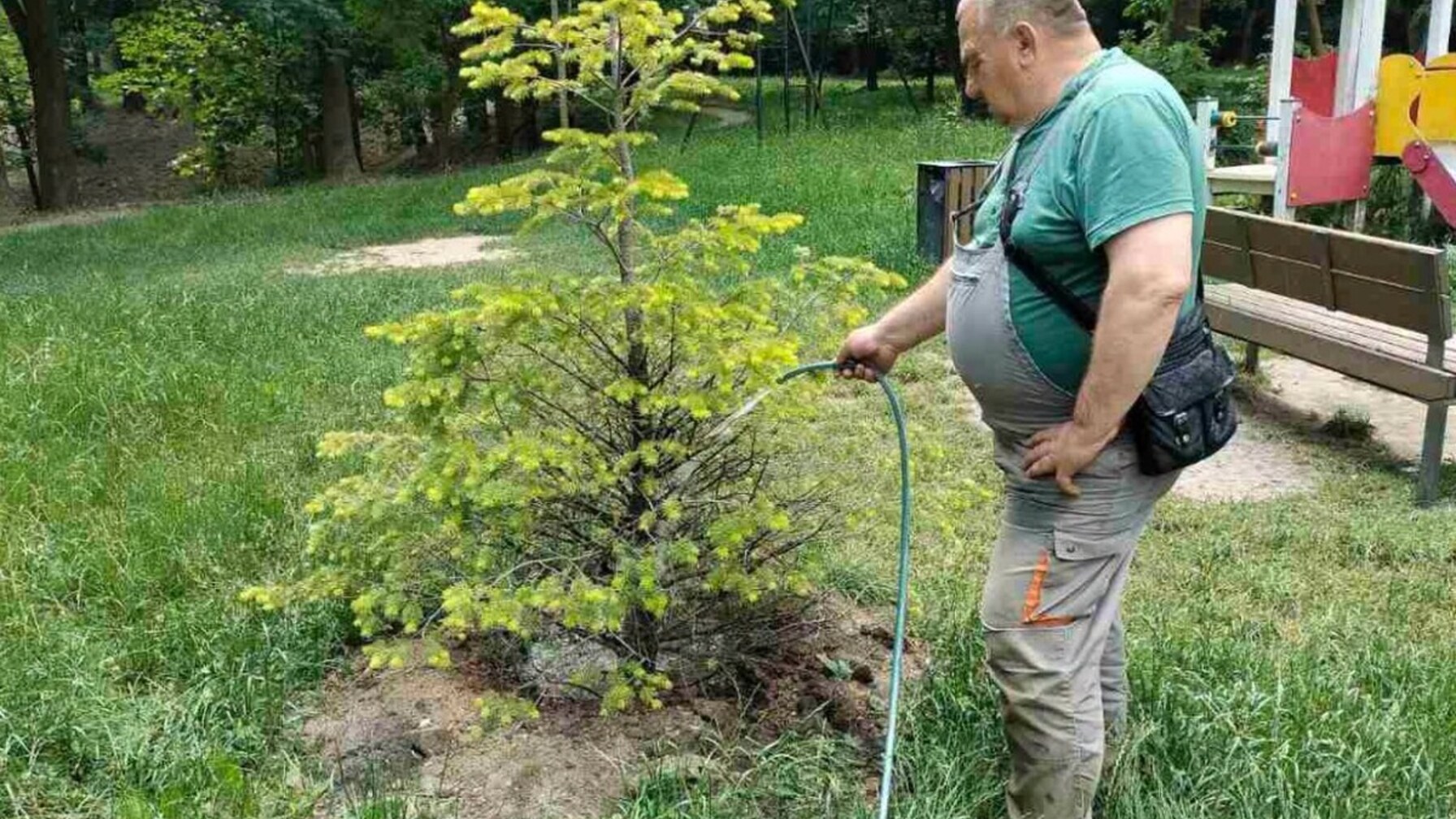 Львівські парки в умовах спеки: як місто рятує зелені насадження від посухи