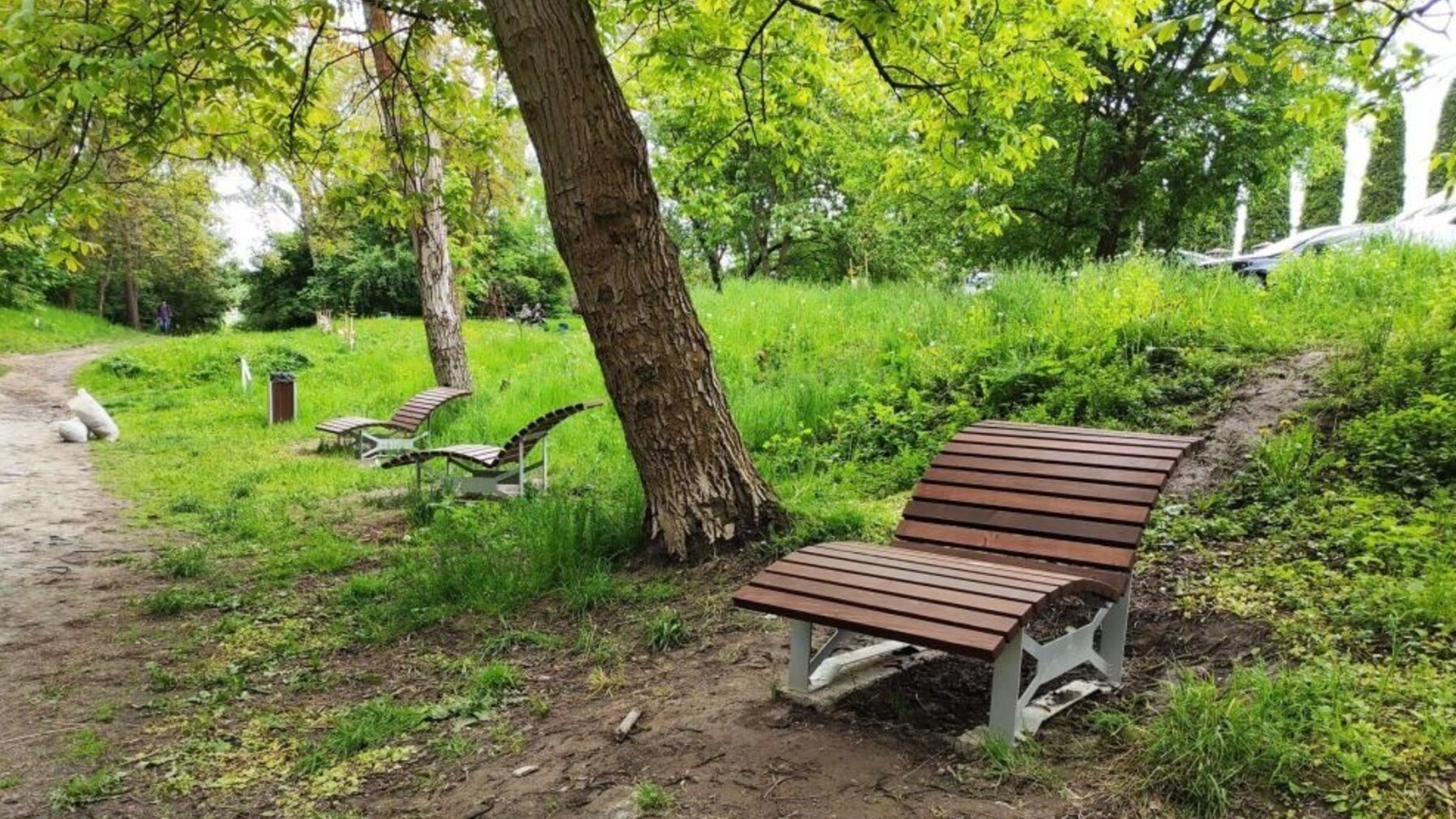 У Львові завершують осінню обробку парків від кліщів: містян просять почекати з прогулянками