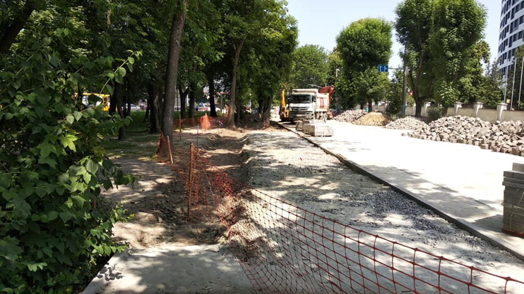 У Франківському районі Львова зріжуть 22 дерева заради модернізації інженерних мереж
