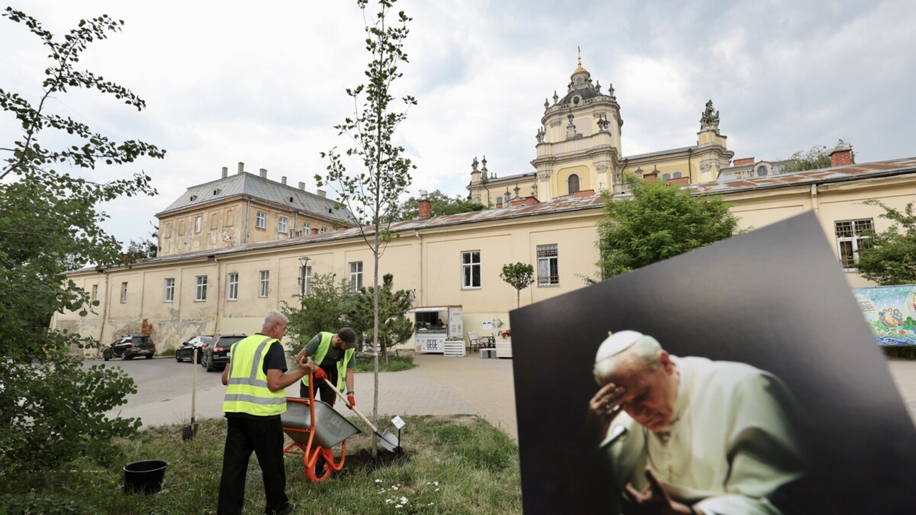 У Львові посадили тюльпанове дерево на честь 25-річчя візиту Папи Івана Павла ІІ до міста