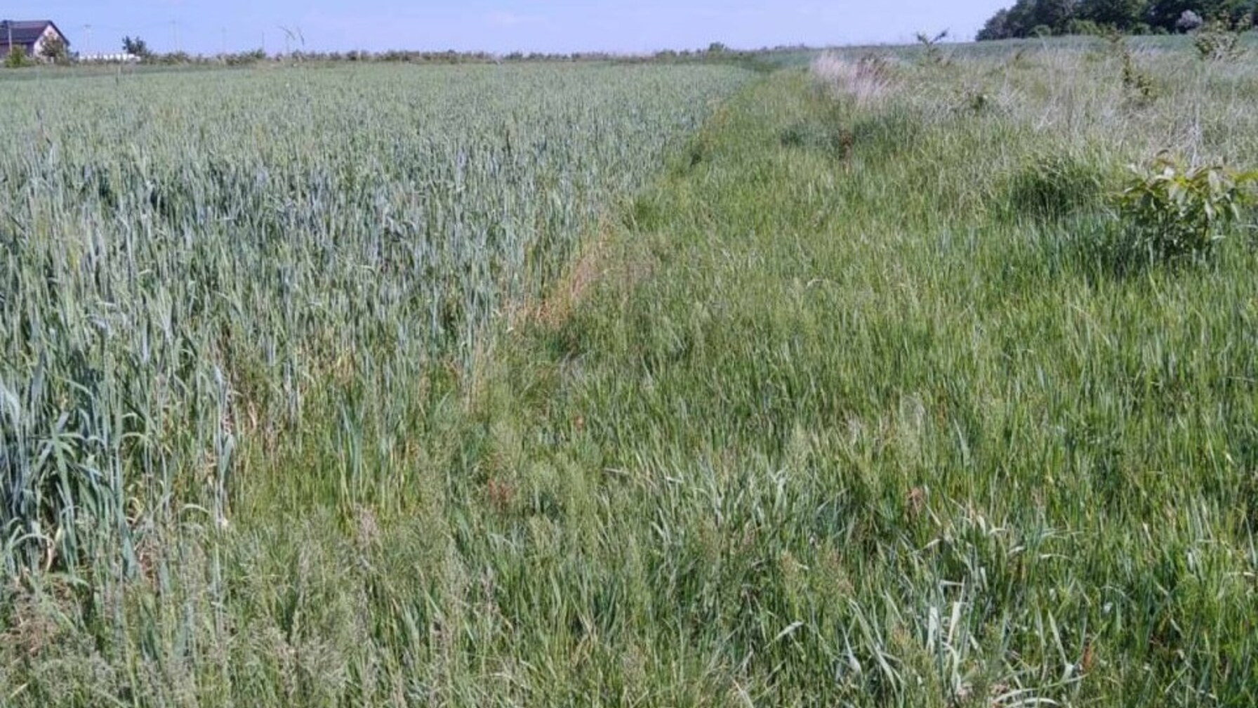 Львівська фірма поверне громаді понад 500 тисяч гривень за незаконне користування землею