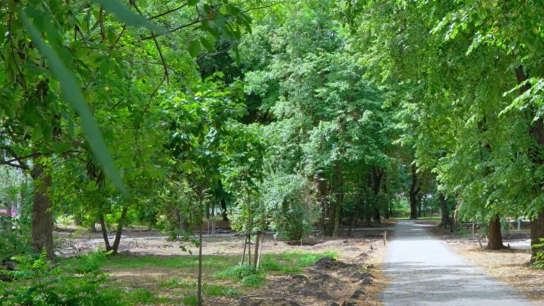 Сквер «Кульпарківський» у Львові оновлять за кошти приватного інвестора