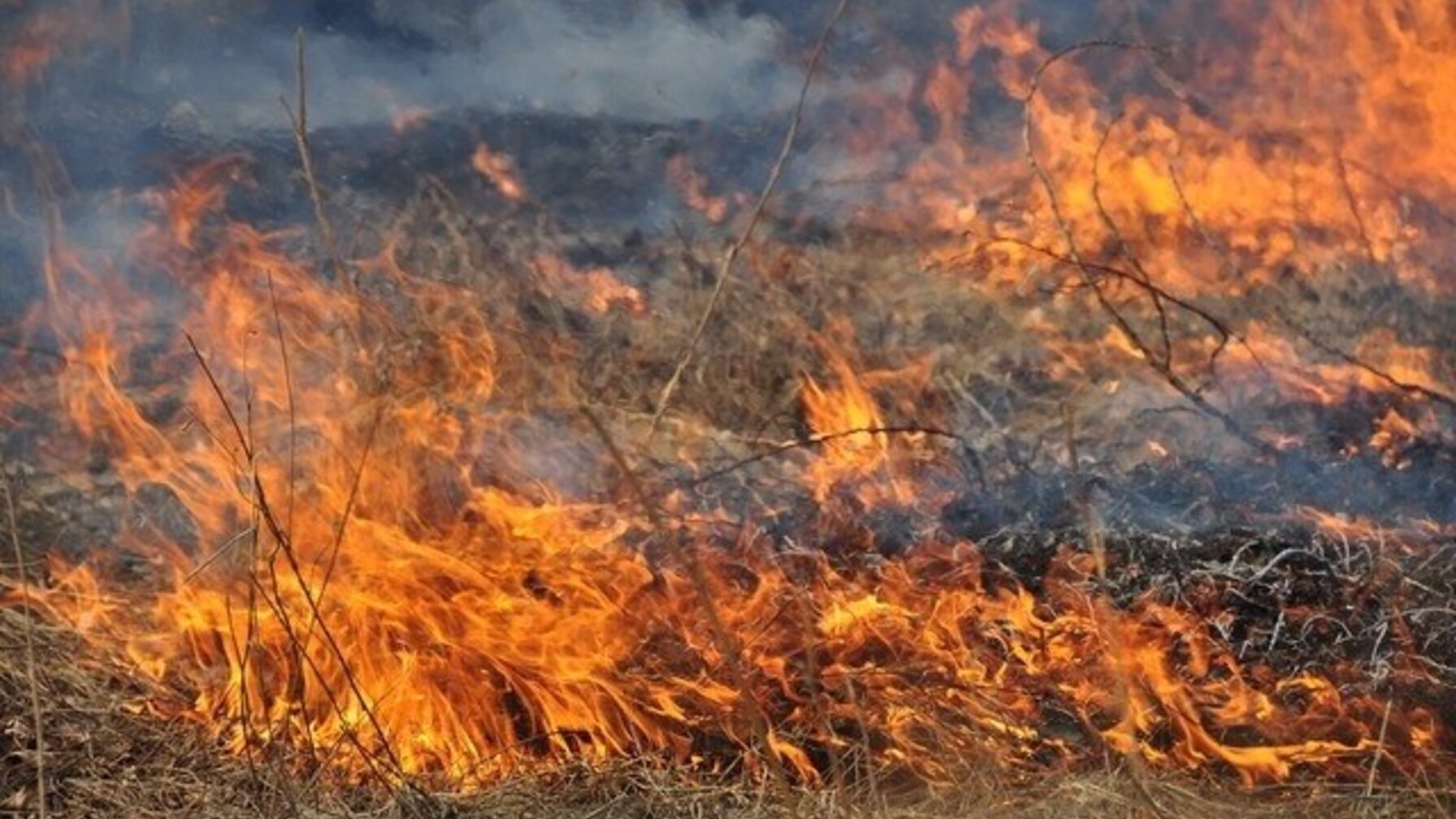 Спека до +40°C на Львівщині: штрафи за підпали та обмеження для вантажівок