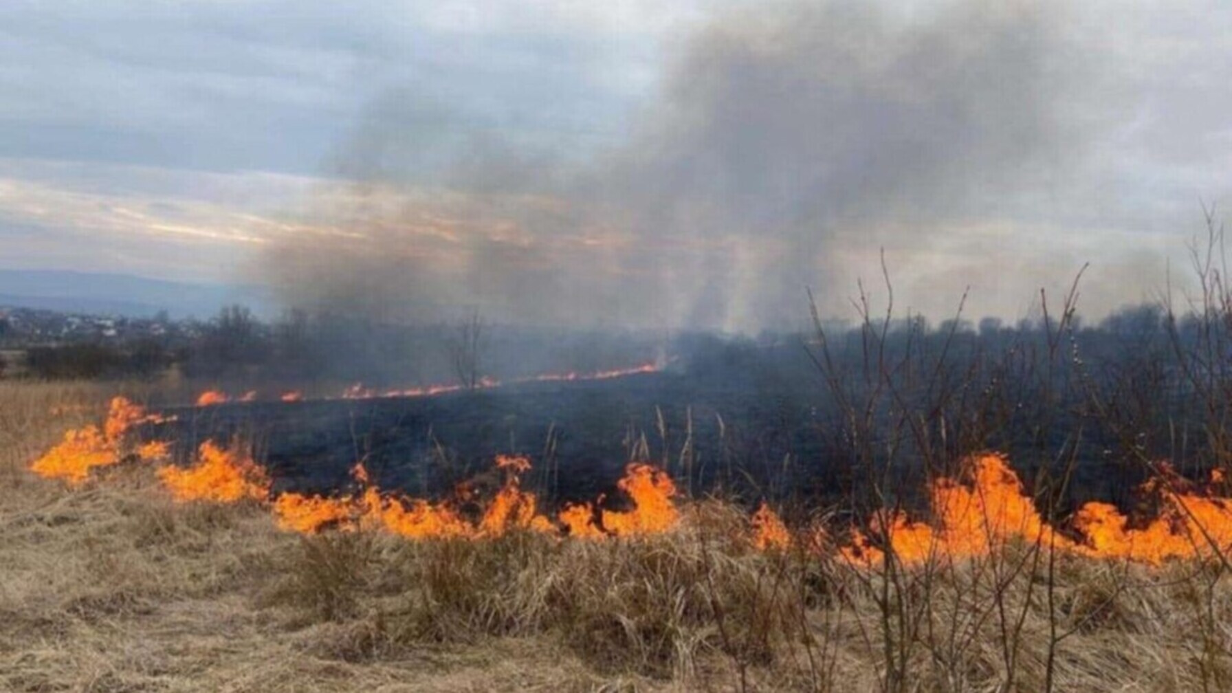 У Львові оголошено надзвичайний рівень пожежної небезпеки: штрафи за підпали сягають понад 21 тисячу гривень