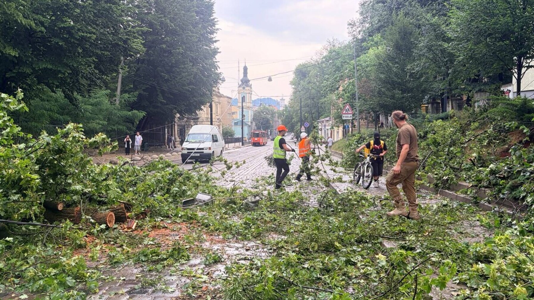 Негода вдарила по Львову: повалені дерева, пошкоджені будівлі та зупинені трамваї