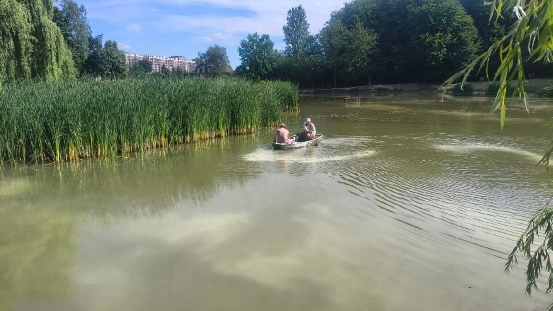 Львівські парки оздоровлюють водойми вапнуванням: де вже провели роботи та навіщо це потрібно