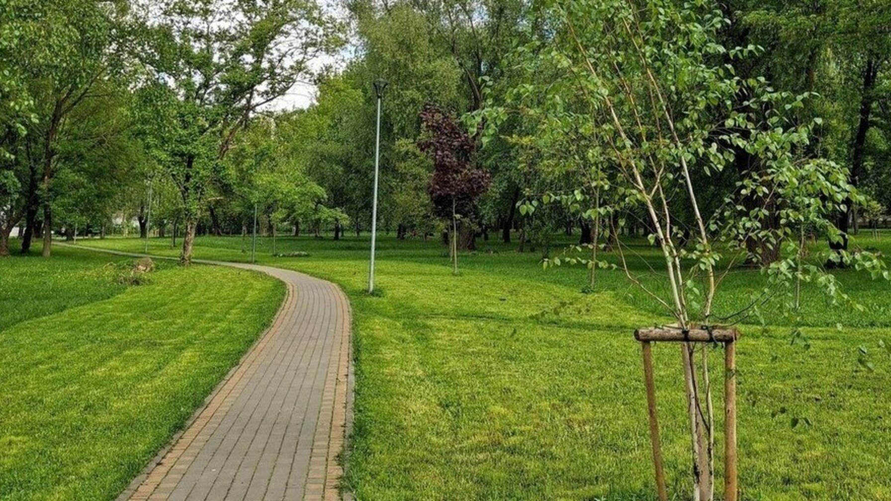 Львів повторно розіграє право торгівлі у дев’яти міських парках: деталі аукціонів