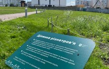 Фото 1: У Львові продовжують цвісти галявини з різнотрав’ям: де можна побачити