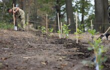 Фото 14: Сьогодні в одному із парків Львова висадили понад 400 дерев